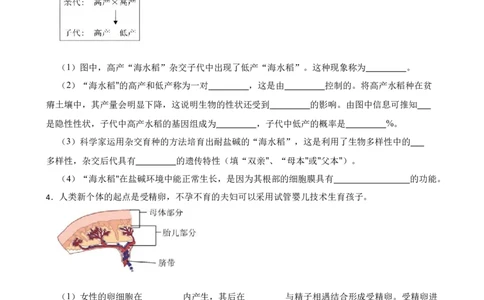 2024年中考生物读图理解专题复习：生命的延续与发展（含答案）_6生物中考复习_2024年中考复习资料_二轮复习_备考2024中考生物二轮复习读图理解精练