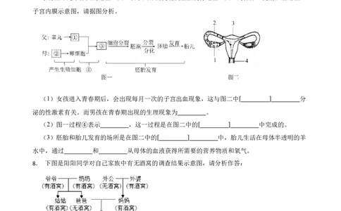 2024年中考生物读图理解专题复习：生命的延续与发展（含答案）_6生物中考复习_2024年中考复习资料_二轮复习_备考2024中考生物二轮复习读图理解精练