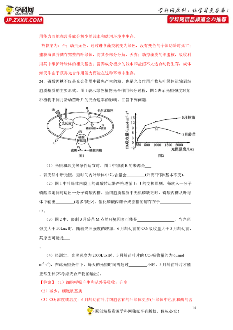 第二单元光合作用和细胞呼吸的综合（A卷新题基础练）-2022年高考生物一轮复习单元滚动双测卷（解析版）_新高考复习资料_2023年新高考复习资料_一轮复习