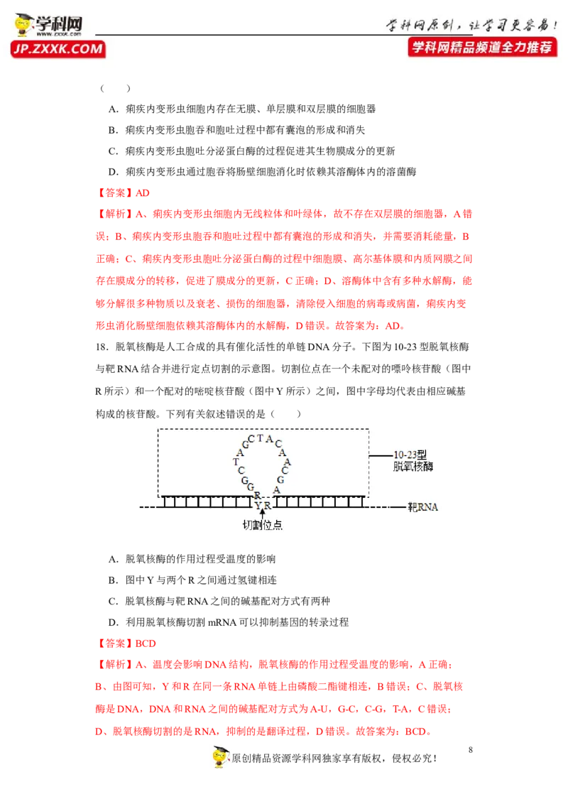 第二单元光合作用和细胞呼吸的综合（A卷新题基础练）-2022年高考生物一轮复习单元滚动双测卷（解析版）_新高考复习资料_2023年新高考复习资料_一轮复习