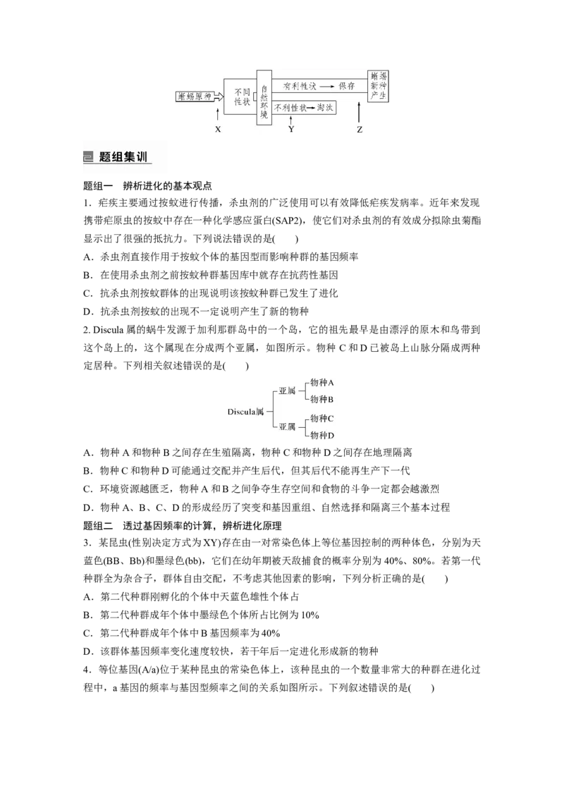 第一篇专题五考点三　生物的进化_通用版（老高考）复习资料_2023年复习资料_二轮复习_2023年高考生物二轮复习讲义+课件（全国版）_2023年高考生物二轮复习讲义（全国版）_学生版