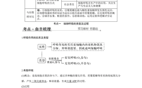 第8讲　细胞呼吸的原理和应用_新高考复习资料_2023年新高考复习资料_一轮复习_2023年新高考大一轮复习讲义_2023年高考生物一轮复习讲义（新人教新高考）_赠补充习题