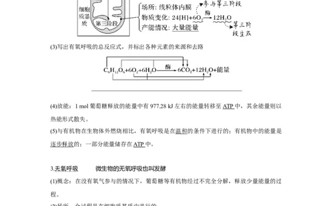 第8讲　细胞呼吸的原理和应用_新高考复习资料_2023年新高考复习资料_一轮复习_2023年新高考大一轮复习讲义_2023年高考生物一轮复习讲义（新人教新高考）_赠补充习题