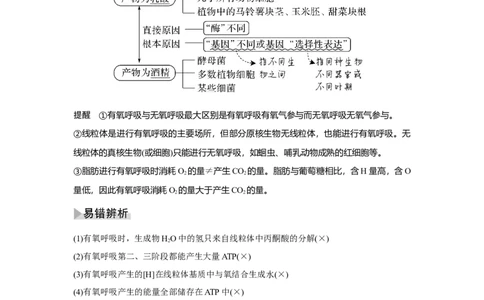 第8讲　细胞呼吸的原理和应用_新高考复习资料_2023年新高考复习资料_一轮复习_2023年新高考大一轮复习讲义_2023年高考生物一轮复习讲义（新人教新高考）_赠补充习题