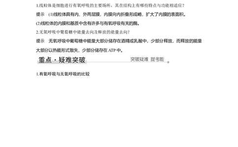 第8讲　细胞呼吸的原理和应用_新高考复习资料_2023年新高考复习资料_一轮复习_2023年新高考大一轮复习讲义_2023年高考生物一轮复习讲义（新人教新高考）_赠补充习题