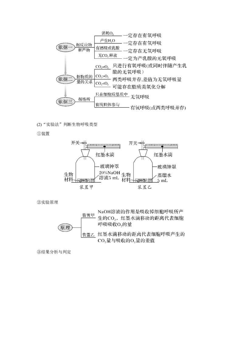 第8讲　细胞呼吸的原理和应用_新高考复习资料_2023年新高考复习资料_一轮复习_2023年新高考大一轮复习讲义_2023年高考生物一轮复习讲义（新人教新高考）_赠补充习题