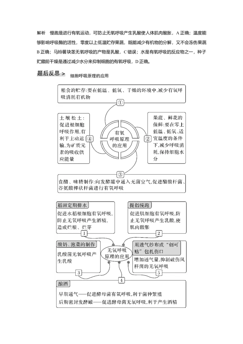 第8讲　细胞呼吸的原理和应用_新高考复习资料_2023年新高考复习资料_一轮复习_2023年新高考大一轮复习讲义_2023年高考生物一轮复习讲义（新人教新高考）_赠补充习题