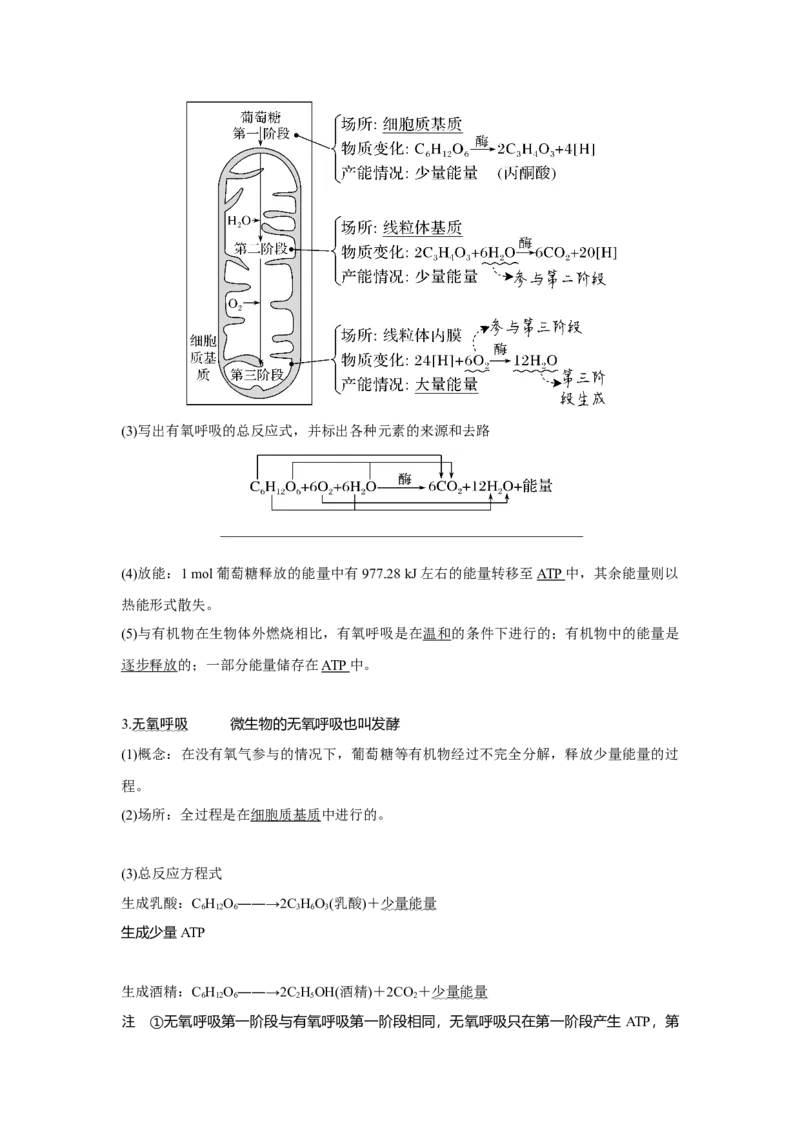 第8讲　细胞呼吸的原理和应用_新高考复习资料_2023年新高考复习资料_一轮复习_2023年新高考大一轮复习讲义_2023年高考生物一轮复习讲义（新人教新高考）_赠补充习题