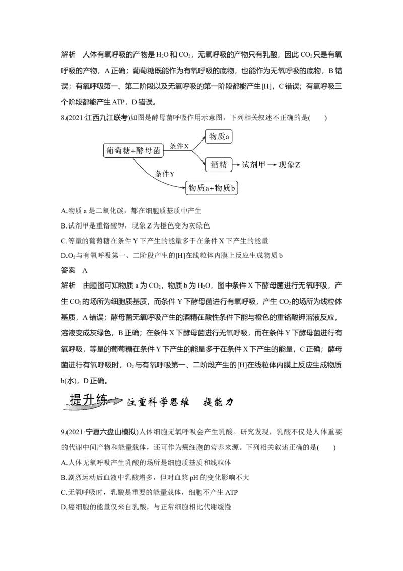 第8讲　细胞呼吸的原理和应用_新高考复习资料_2023年新高考复习资料_一轮复习_2023年新高考大一轮复习讲义_2023年高考生物一轮复习讲义（新人教新高考）_赠补充习题