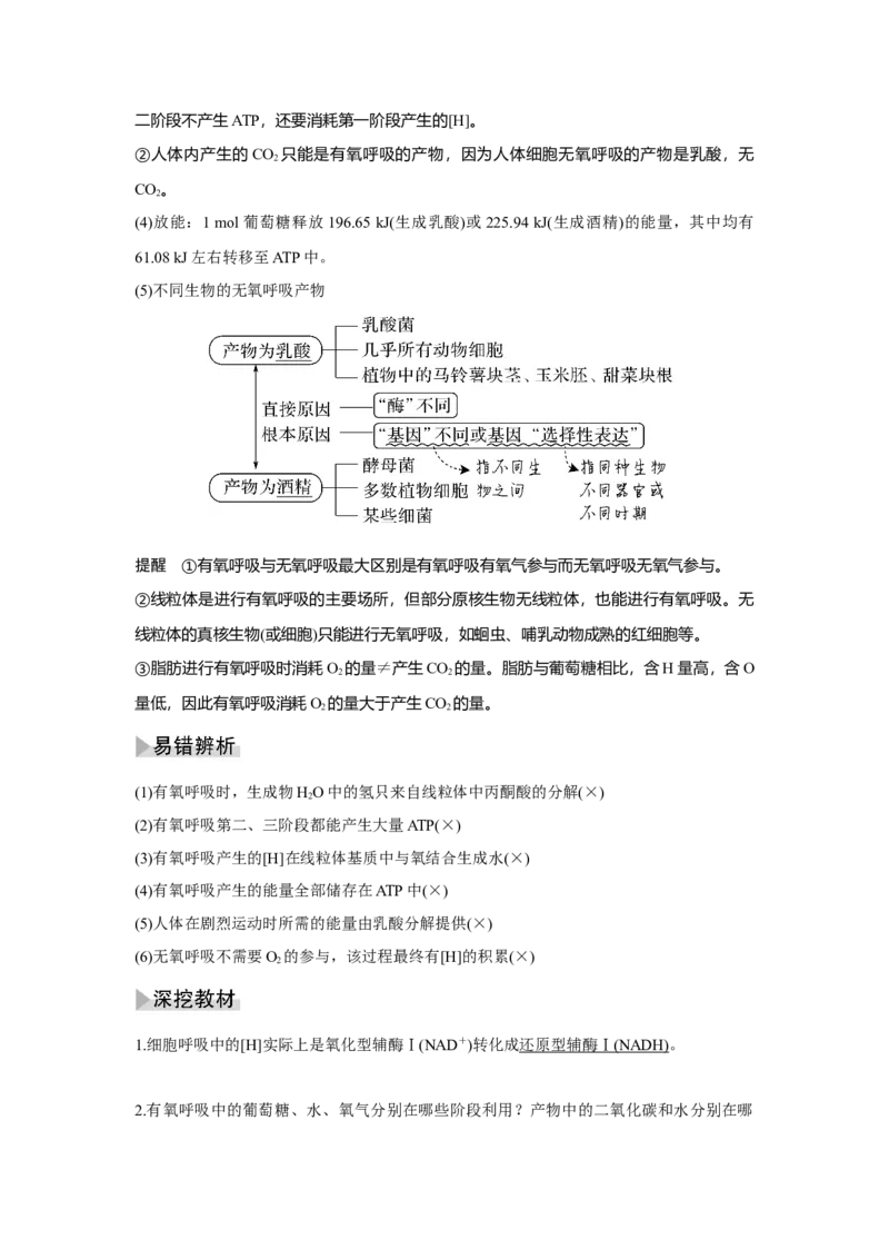 第8讲　细胞呼吸的原理和应用_新高考复习资料_2023年新高考复习资料_一轮复习_2023年新高考大一轮复习讲义_2023年高考生物一轮复习讲义（新人教新高考）_赠补充习题