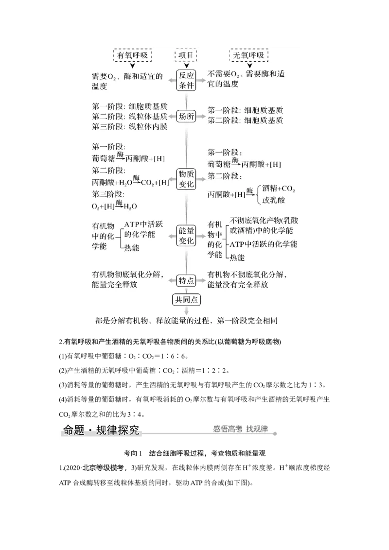 第8讲　细胞呼吸的原理和应用_新高考复习资料_2023年新高考复习资料_一轮复习_2023年新高考大一轮复习讲义_2023年高考生物一轮复习讲义（新人教新高考）_赠补充习题