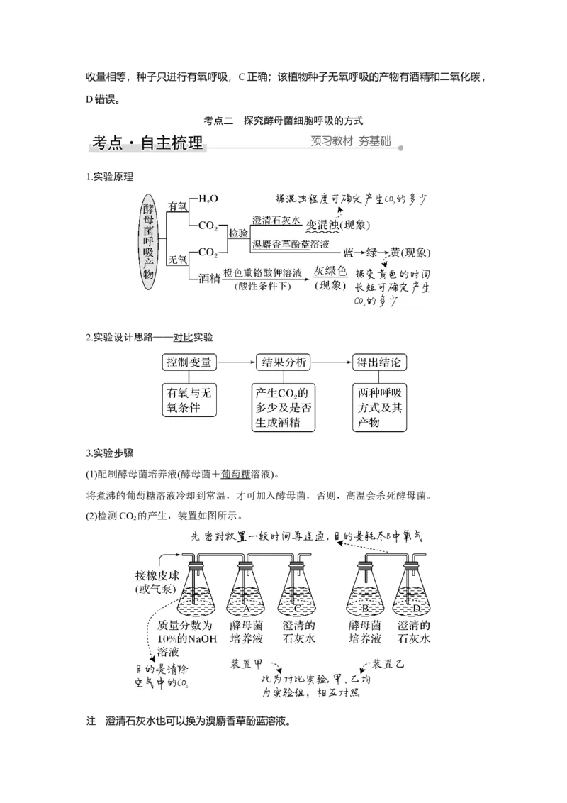 第8讲　细胞呼吸的原理和应用_新高考复习资料_2023年新高考复习资料_一轮复习_2023年新高考大一轮复习讲义_2023年高考生物一轮复习讲义（新人教新高考）_赠补充习题