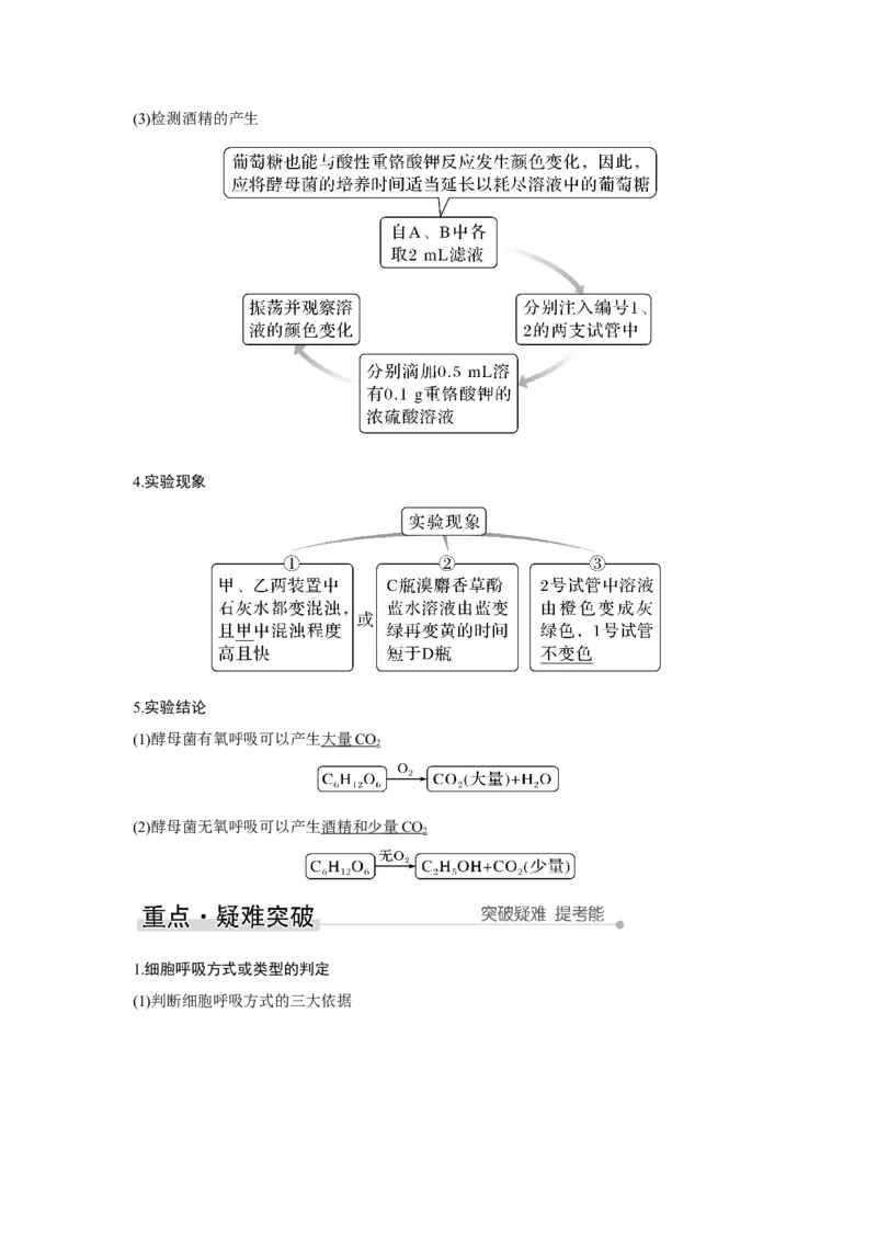 第8讲　细胞呼吸的原理和应用_新高考复习资料_2023年新高考复习资料_一轮复习_2023年新高考大一轮复习讲义_2023年高考生物一轮复习讲义（新人教新高考）_赠补充习题