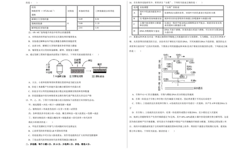 第十二单元发酵工程（B卷能力提升练）-2023年高考生物一轮复习单元滚动双测卷（新高考专用）（考试版）_新高考复习资料_2023年新高考复习资料_一轮复习