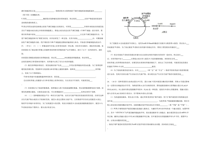 第十二单元发酵工程（B卷能力提升练）-2023年高考生物一轮复习单元滚动双测卷（新高考专用）（考试版）_新高考复习资料_2023年新高考复习资料_一轮复习
