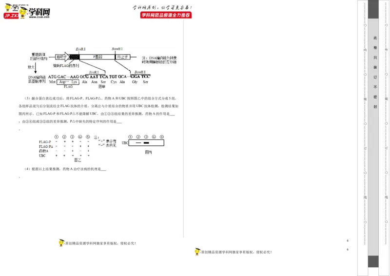 第十二单元发酵工程（B卷能力提升练）-2023年高考生物一轮复习单元滚动双测卷（新高考专用）（考试版）_新高考复习资料_2023年新高考复习资料_一轮复习