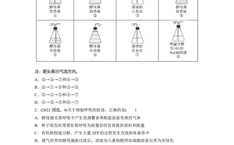 第三单元　课时练13细胞呼吸的方式和有氧呼吸_2025年新高考资料_一轮复习_2025大一轮复习讲义+课件（完结）_2025大一轮复习讲义生物学生用书Word版文档整书_2025一轮复习73练