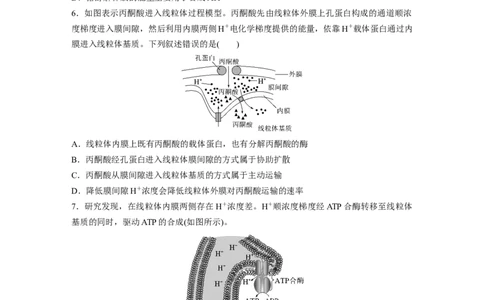 第三单元　课时练13细胞呼吸的方式和有氧呼吸_2025年新高考资料_一轮复习_2025大一轮复习讲义+课件（完结）_2025大一轮复习讲义生物学生用书Word版文档整书_2025一轮复习73练