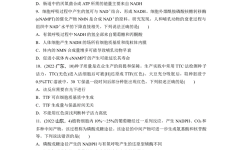 第三单元　课时练13细胞呼吸的方式和有氧呼吸_2025年新高考资料_一轮复习_2025大一轮复习讲义+课件（完结）_2025大一轮复习讲义生物学生用书Word版文档整书_2025一轮复习73练