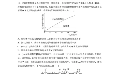 第三单元　课时练13细胞呼吸的方式和有氧呼吸_2025年新高考资料_一轮复习_2025大一轮复习讲义+课件（完结）_2025大一轮复习讲义生物学生用书Word版文档整书_2025一轮复习73练