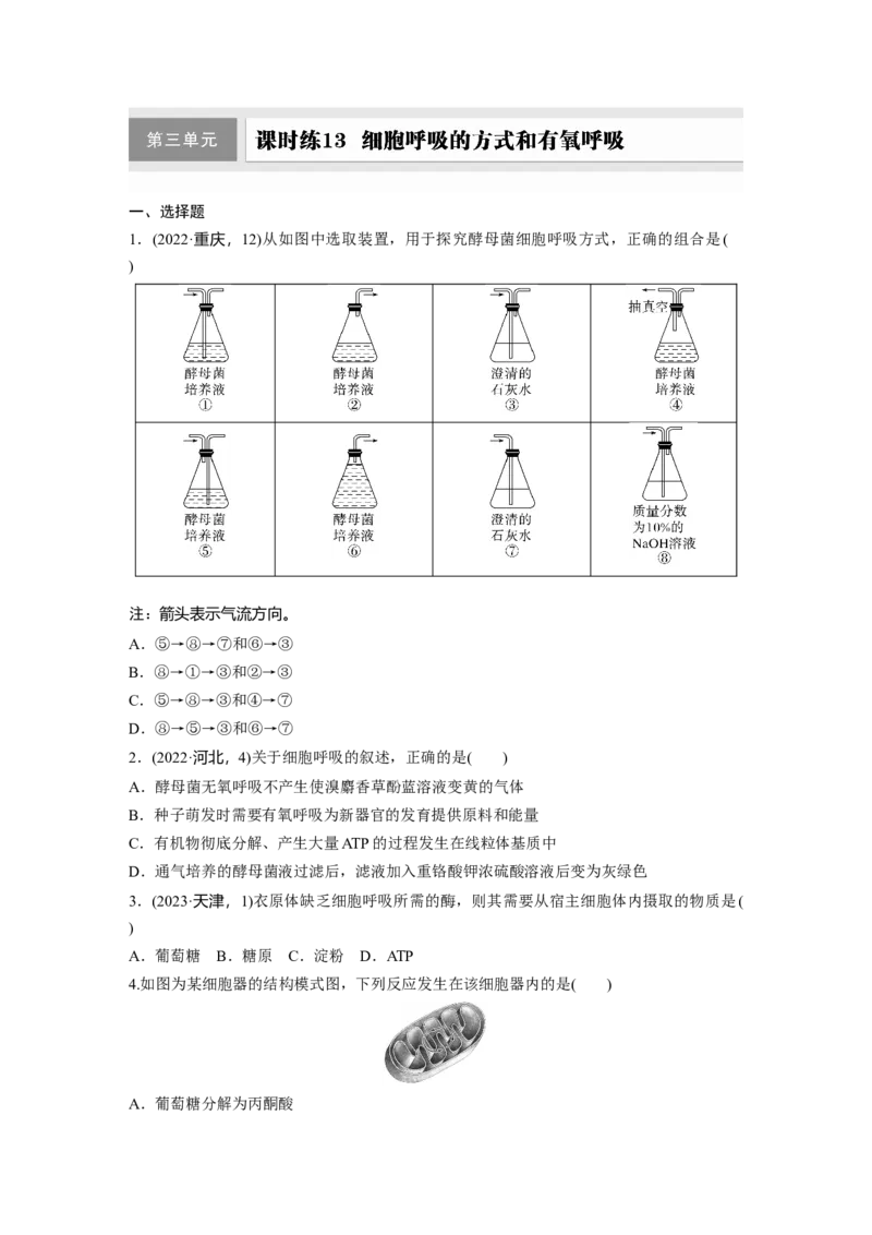 第三单元　课时练13细胞呼吸的方式和有氧呼吸_2025年新高考资料_一轮复习_2025大一轮复习讲义+课件（完结）_2025大一轮复习讲义生物学生用书Word版文档整书_2025一轮复习73练
