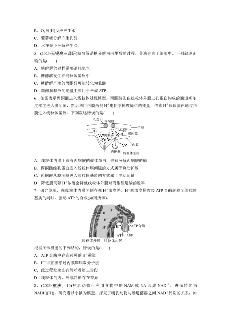 第三单元　课时练13细胞呼吸的方式和有氧呼吸_2025年新高考资料_一轮复习_2025大一轮复习讲义+课件（完结）_2025大一轮复习讲义生物学生用书Word版文档整书_2025一轮复习73练