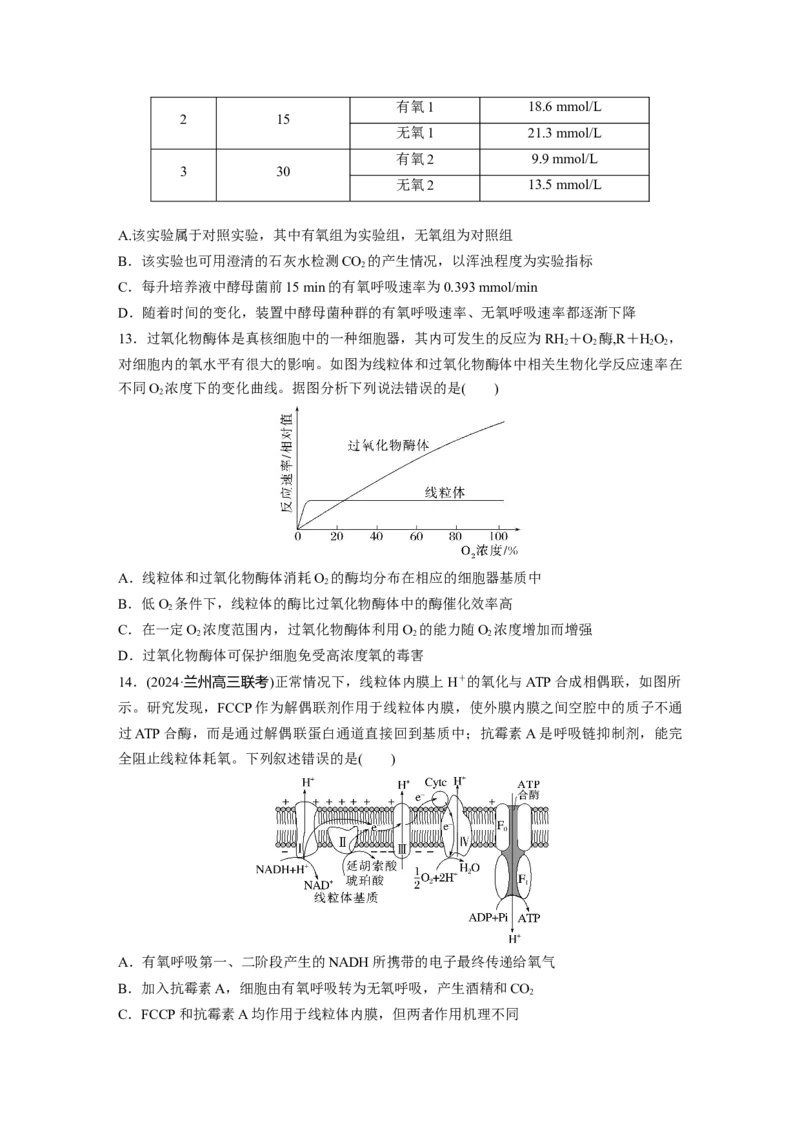 第三单元　课时练13细胞呼吸的方式和有氧呼吸_2025年新高考资料_一轮复习_2025大一轮复习讲义+课件（完结）_2025大一轮复习讲义生物学生用书Word版文档整书_2025一轮复习73练