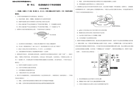 第一单元组成细胞的分子和结构梳理（B卷能力提升练）-2022年高考生物一轮复习单元滚动双测卷（考试版）_新高考复习资料_2023年新高考复习资料_一轮复习