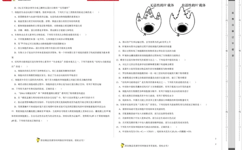第一单元组成细胞的分子和结构梳理（B卷能力提升练）-2022年高考生物一轮复习单元滚动双测卷（考试版）_新高考复习资料_2023年新高考复习资料_一轮复习