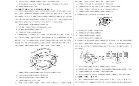 第一单元组成细胞的分子和结构梳理（B卷能力提升练）-2022年高考生物一轮复习单元滚动双测卷（考试版）_新高考复习资料_2023年新高考复习资料_一轮复习