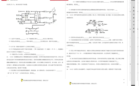 第一单元组成细胞的分子和结构梳理（B卷能力提升练）-2022年高考生物一轮复习单元滚动双测卷（考试版）_新高考复习资料_2023年新高考复习资料_一轮复习