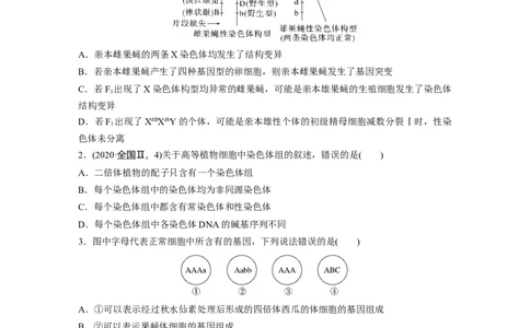 第七单元　课时练34　染色体变异_2025年新高考资料_一轮复习_2025大一轮复习讲义+课件（完结）_2025大一轮复习讲义生物学生用书Word版文档整书_2025一轮复习73练