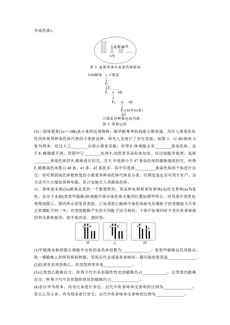 第七单元　课时练34　染色体变异_2025年新高考资料_一轮复习_2025大一轮复习讲义+课件（完结）_2025大一轮复习讲义生物学生用书Word版文档整书_2025一轮复习73练