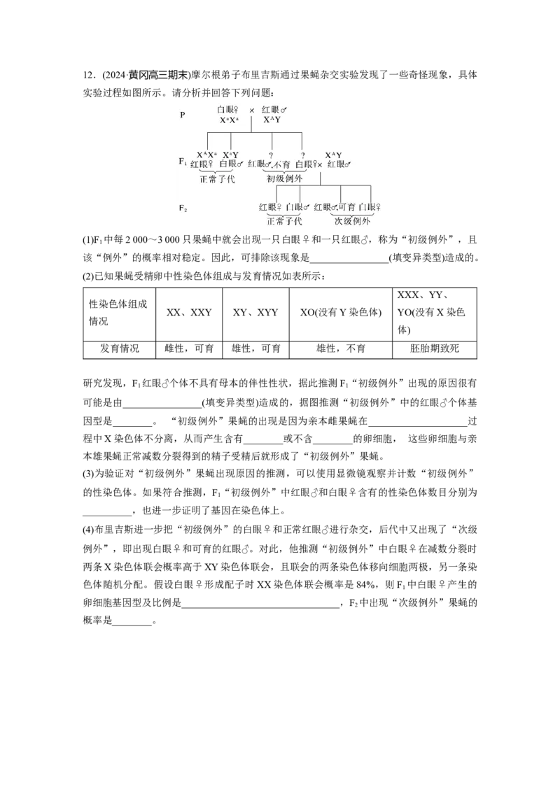第七单元　课时练34　染色体变异_2025年新高考资料_一轮复习_2025大一轮复习讲义+课件（完结）_2025大一轮复习讲义生物学生用书Word版文档整书_2025一轮复习73练