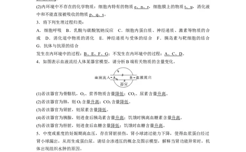 第八单元　第36课时　人体的内环境与稳态_2025年新高考资料_一轮复习_2025大一轮复习讲义+课件（完结）_2025大一轮复习讲义生物教师用书Word版文档整书_配套Word版文档第七~十单元