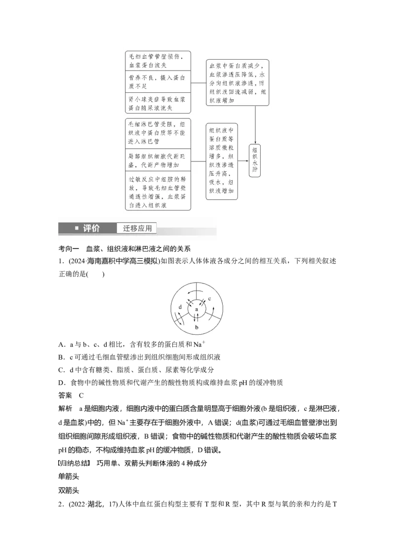 第八单元　第36课时　人体的内环境与稳态_2025年新高考资料_一轮复习_2025大一轮复习讲义+课件（完结）_2025大一轮复习讲义生物教师用书Word版文档整书_配套Word版文档第七~十单元