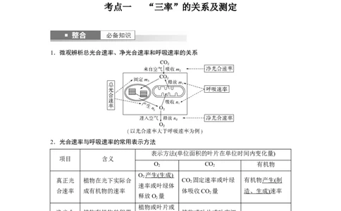 第三单元　第18课时　光合速率和呼吸速率的综合分析_新高考复习资料_2025年新高考资料_2025新高考一轮复习生物_2025大一轮复习讲义生物人教版教师用书Word版文档整书