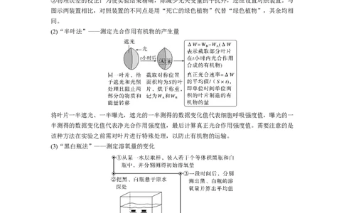 第三单元　第18课时　光合速率和呼吸速率的综合分析_新高考复习资料_2025年新高考资料_2025新高考一轮复习生物_2025大一轮复习讲义生物人教版教师用书Word版文档整书