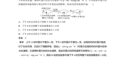 第三单元　第18课时　光合速率和呼吸速率的综合分析_新高考复习资料_2025年新高考资料_2025新高考一轮复习生物_2025大一轮复习讲义生物人教版教师用书Word版文档整书