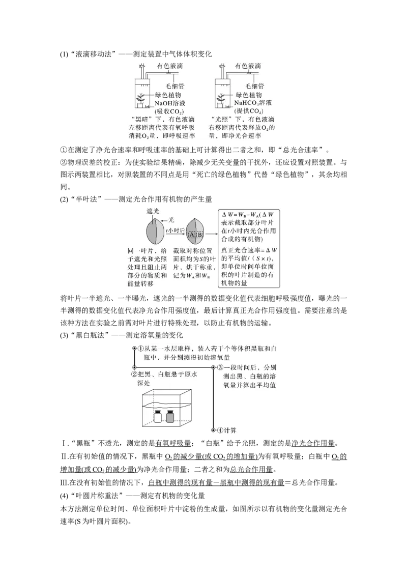 第三单元　第18课时　光合速率和呼吸速率的综合分析_新高考复习资料_2025年新高考资料_2025新高考一轮复习生物_2025大一轮复习讲义生物人教版教师用书Word版文档整书