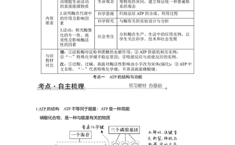 第7讲　ATP和酶_新高考复习资料_2023年新高考复习资料_一轮复习_2023年新高考大一轮复习讲义_2023年高考生物一轮复习讲义（新人教新高考）_赠补充习题_Word版题库第二~六单元