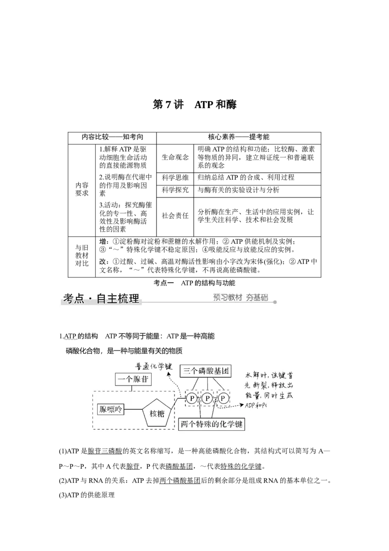 第7讲　ATP和酶_新高考复习资料_2023年新高考复习资料_一轮复习_2023年新高考大一轮复习讲义_2023年高考生物一轮复习讲义（新人教新高考）_赠补充习题_Word版题库第二~六单元