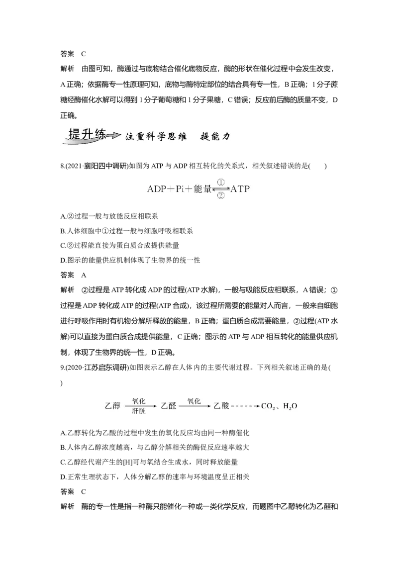 第7讲　ATP和酶_新高考复习资料_2023年新高考复习资料_一轮复习_2023年新高考大一轮复习讲义_2023年高考生物一轮复习讲义（新人教新高考）_赠补充习题_Word版题库第二~六单元