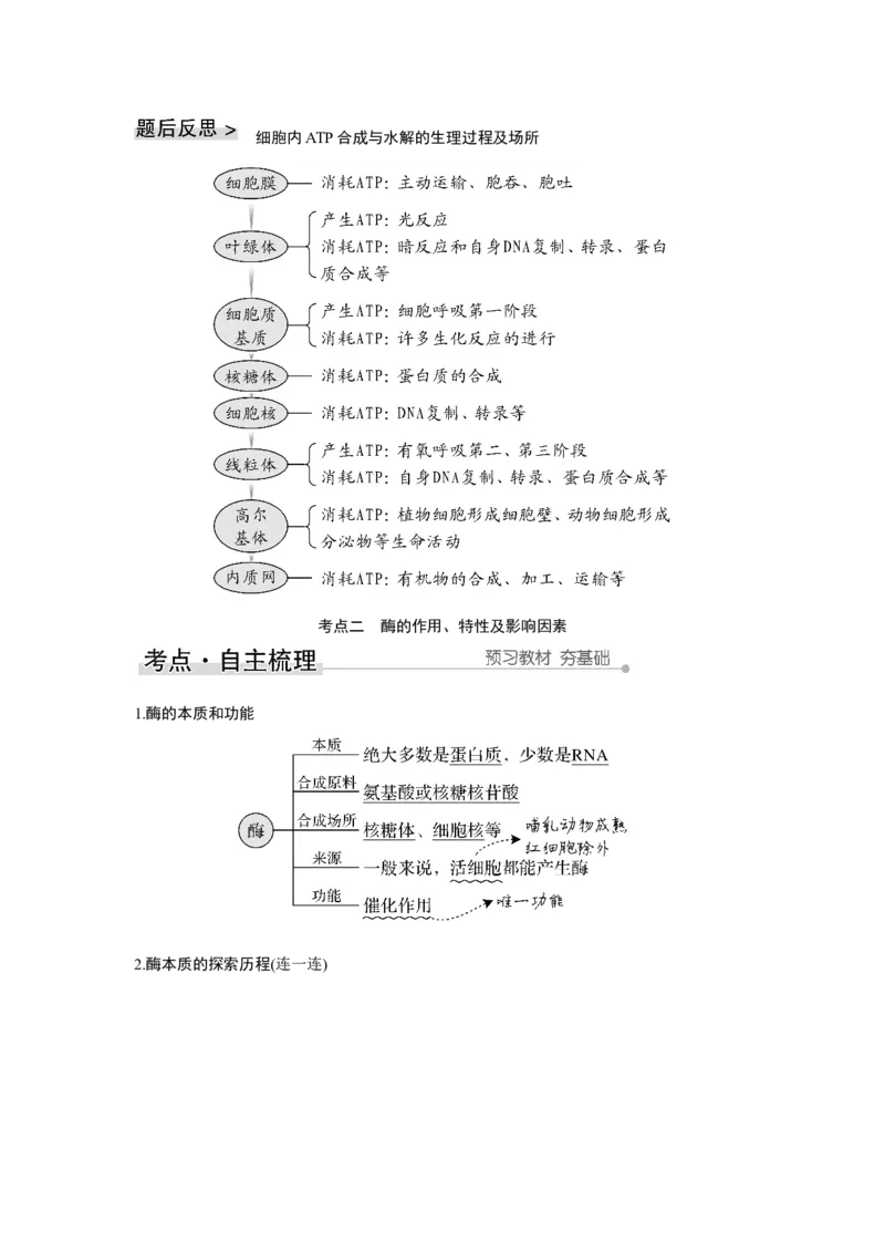 第7讲　ATP和酶_新高考复习资料_2023年新高考复习资料_一轮复习_2023年新高考大一轮复习讲义_2023年高考生物一轮复习讲义（新人教新高考）_赠补充习题_Word版题库第二~六单元