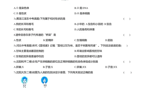 2026年中考生物复习专题练习：专题二十三遗传和变异（含答案）_6生物中考复习_2026年中考复习（更新中）_2026年中考生物一轮复习专题练习（含答案）