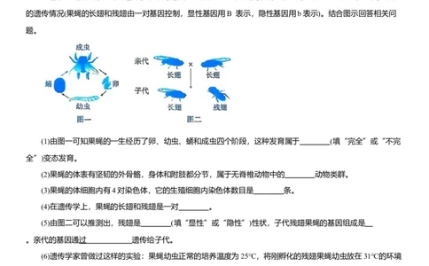 2026年中考生物复习专题练习：专题二十三遗传和变异（含答案）_6生物中考复习_2026年中考复习（更新中）_2026年中考生物一轮复习专题练习（含答案）