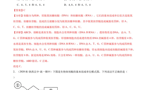 第4讲遗传信息的携带者&mdash;&mdash;核酸（解析版）_通用版（老高考）复习资料_2024年复习资料_完备战2024年高考生物一轮复习考点帮（全国通用）_专题二细胞的物质基础