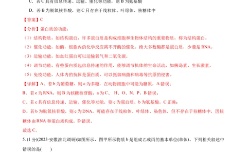 第4讲遗传信息的携带者&mdash;&mdash;核酸（解析版）_通用版（老高考）复习资料_2024年复习资料_完备战2024年高考生物一轮复习考点帮（全国通用）_专题二细胞的物质基础