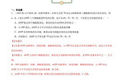 第4讲遗传信息的携带者&mdash;&mdash;核酸（解析版）_通用版（老高考）复习资料_2024年复习资料_完备战2024年高考生物一轮复习考点帮（全国通用）_专题二细胞的物质基础