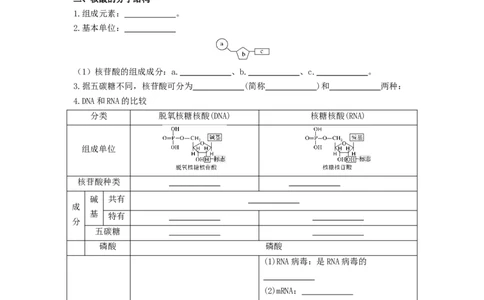 第7讲核酸是遗传信息的携带者-精准备考备战2023年高考生物一轮复习精品讲义（生物学必修1）（原卷版）_通用版（老高考）复习资料_2023年复习资料_一轮复习